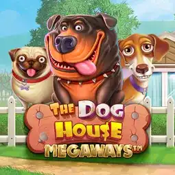 The Dog House Megaways gra w Altaris Casino dla graczy z Polski
