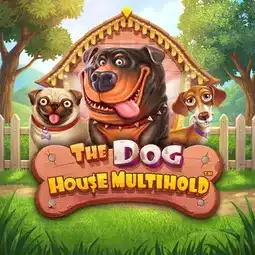 The Dog House Multihold gra w Altaris Casino dla graczy z Polski